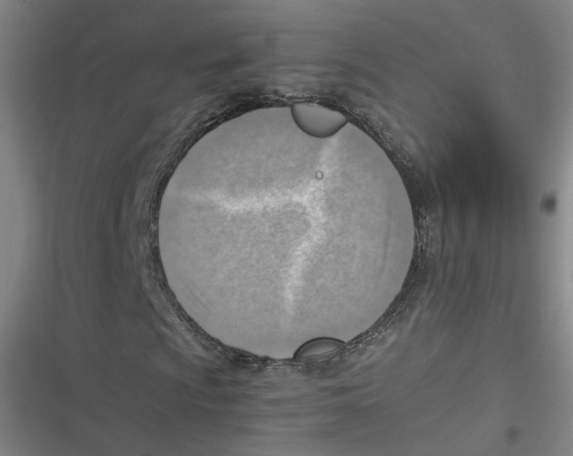 X0000116621009201001081227