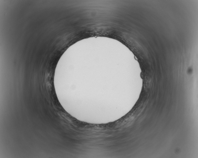 X0000116621010201001081227