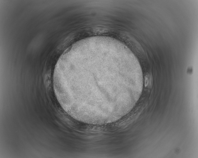 X0000116621011201001081227