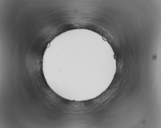 X0000116621012201001081227