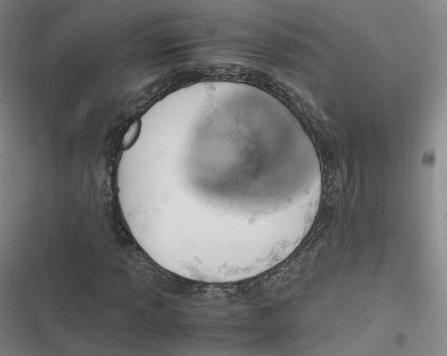 X0000116621013201001081227