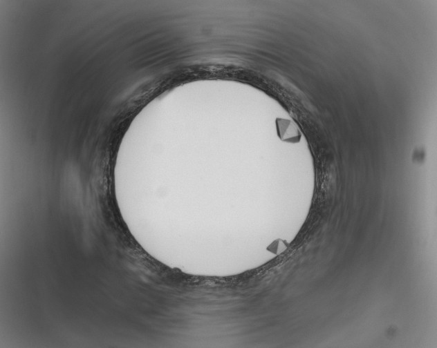 X0000116621014201001081227