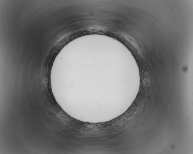 X0000116621015201001081227