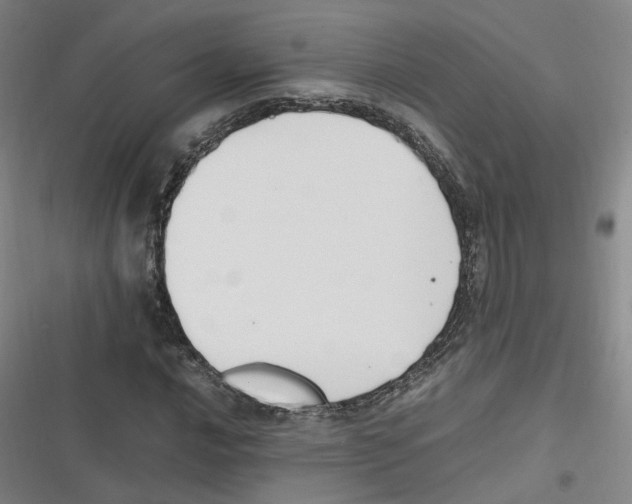 X0000116621016201001081227