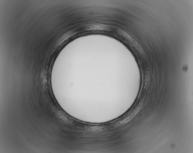 X0000116621017201001081227