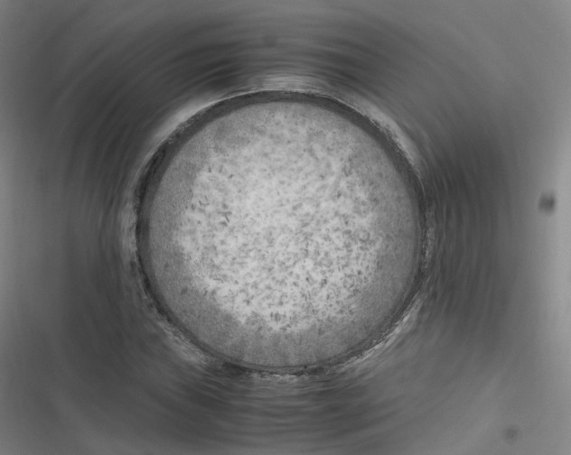 X0000116621019201001081227