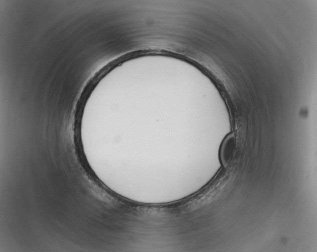 X0000116621020201001081227