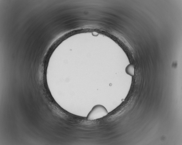 X0000116621021201001081227