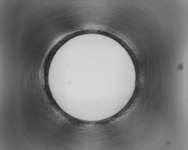 X0000116621022201001081227