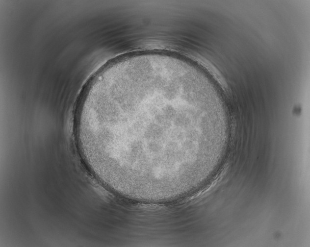 X0000116621023201001081227