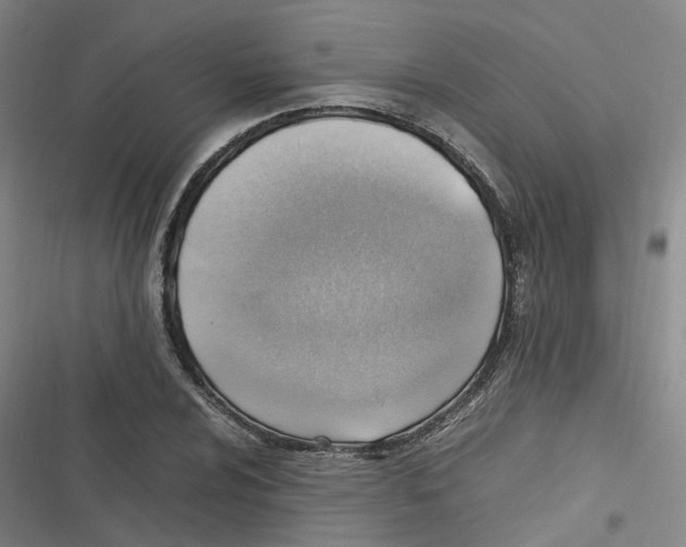 X0000116621024201001081227