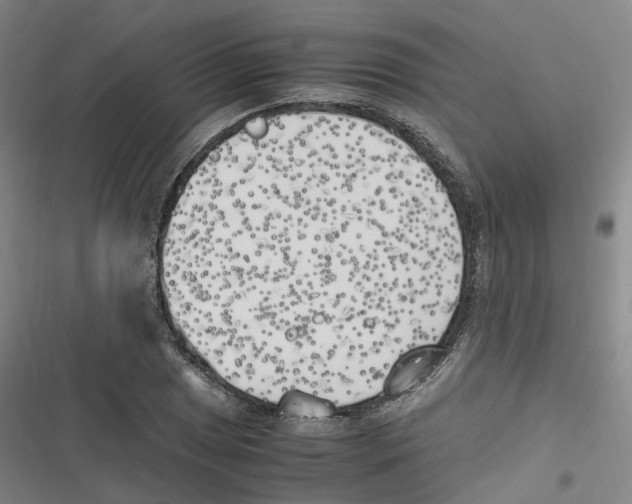 X0000116621025201001081227