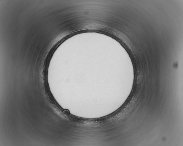 X0000116621026201001081227