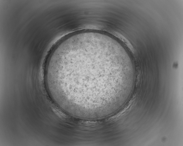 X0000116621027201001081227