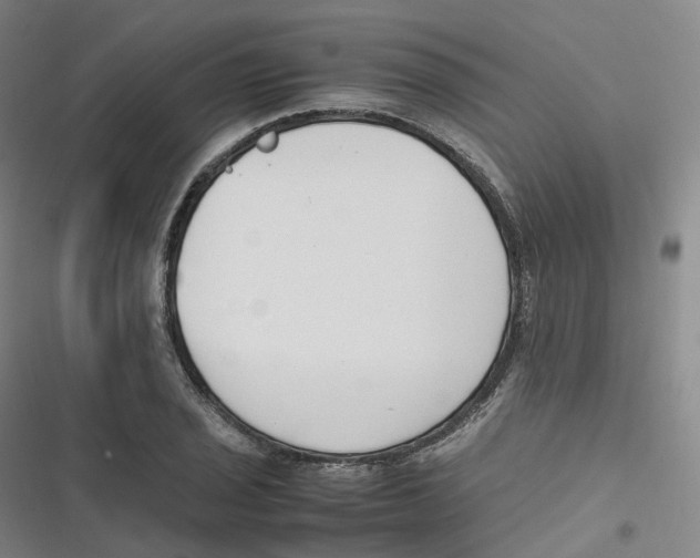 X0000116621029201001081227