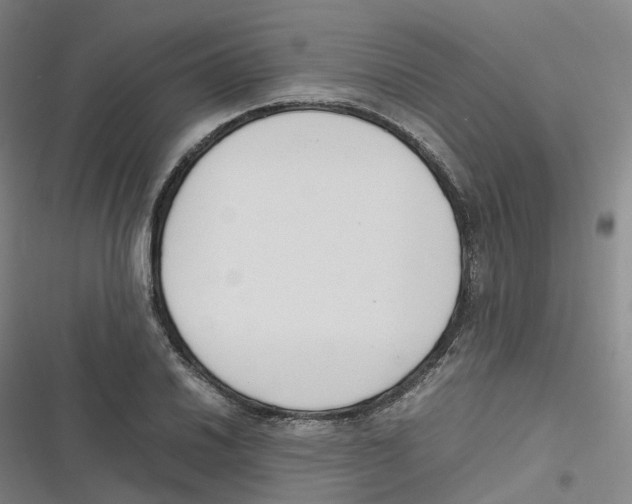 X0000116621030201001081227