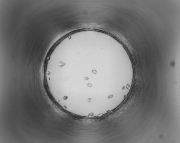 X0000116621032201001081227