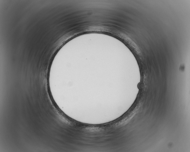 X0000116621033201001081227