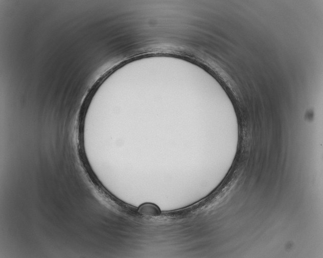 X0000116621034201001081227