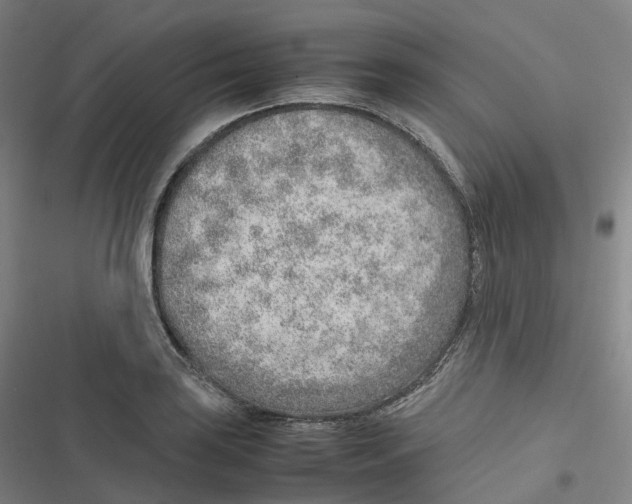 X0000116621035201001081227