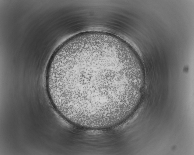 X0000116621037201001081227