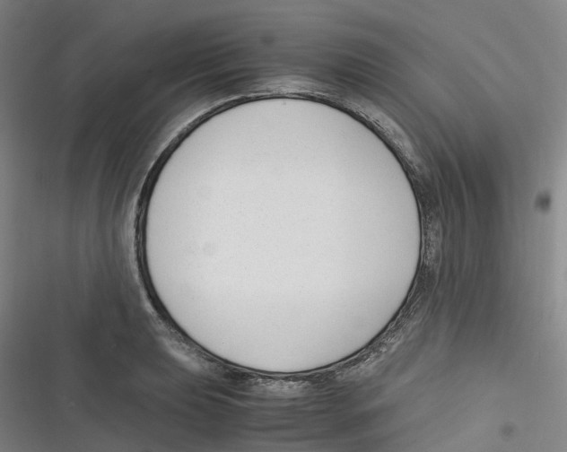 X0000116621039201001081227