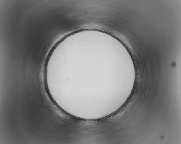 X0000116621040201001081227