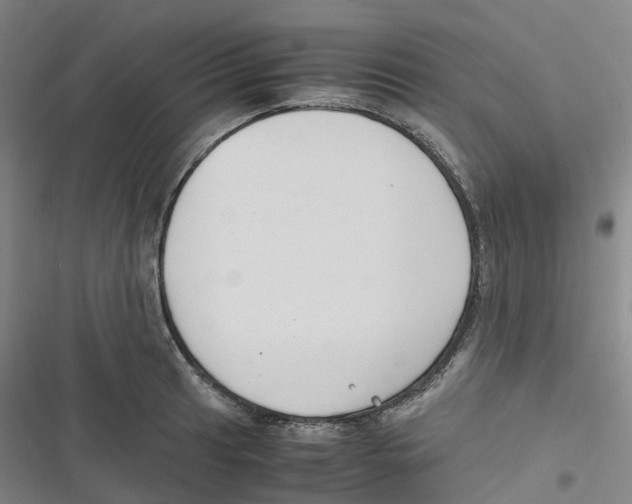 X0000116621041201001081227