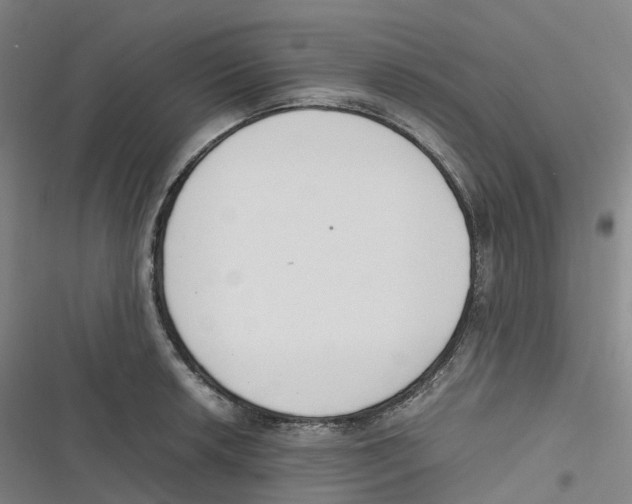 X0000116621042201001081227