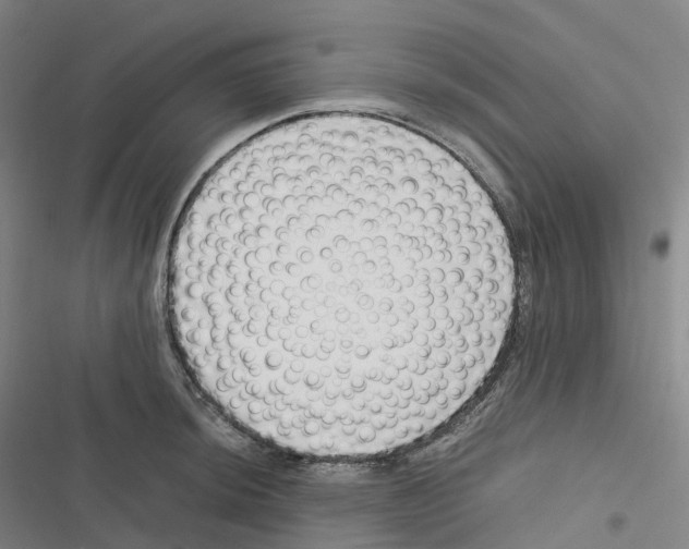 X0000116621044201001081227