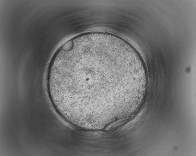 X0000116621045201001081227