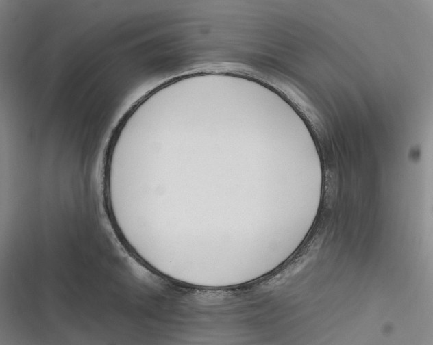 X0000116621046201001081227