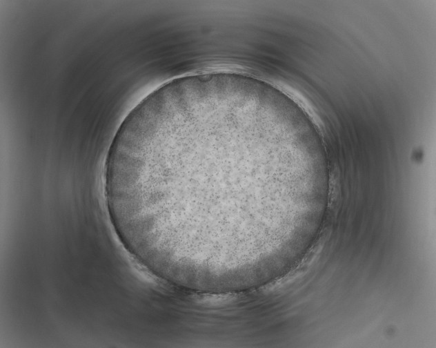 X0000116621047201001081227