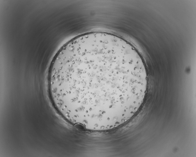 X0000116621048201001081227