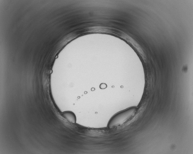 X0000116621049201001081227