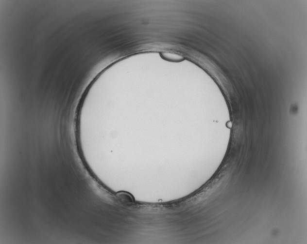 X0000116621050201001081227