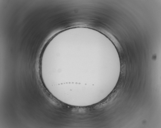 X0000116621051201001081227