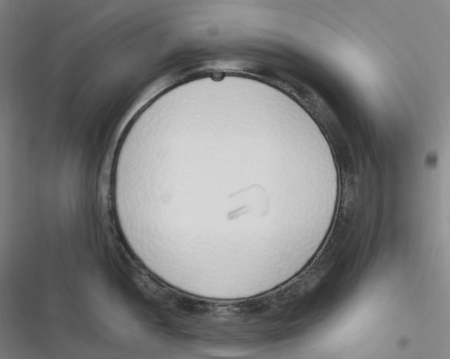 X0000116621052201001081227