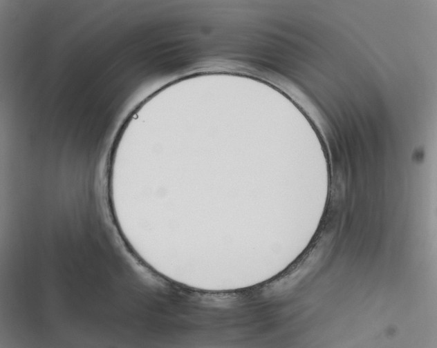 X0000116621053201001081227