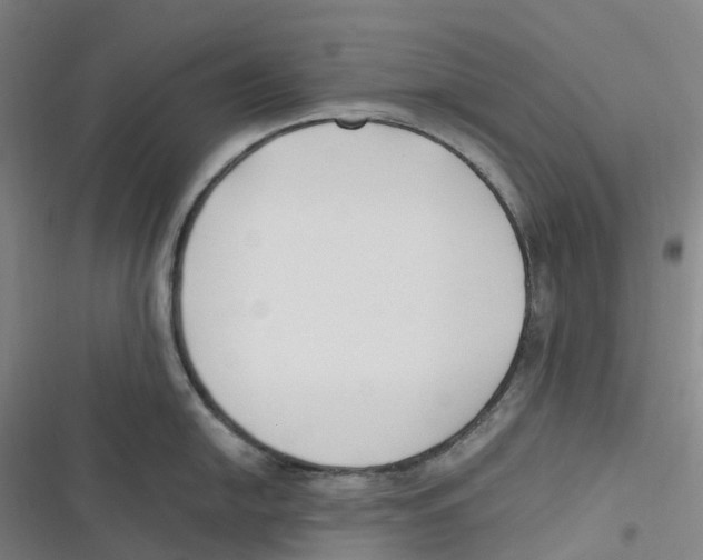 X0000116621054201001081228