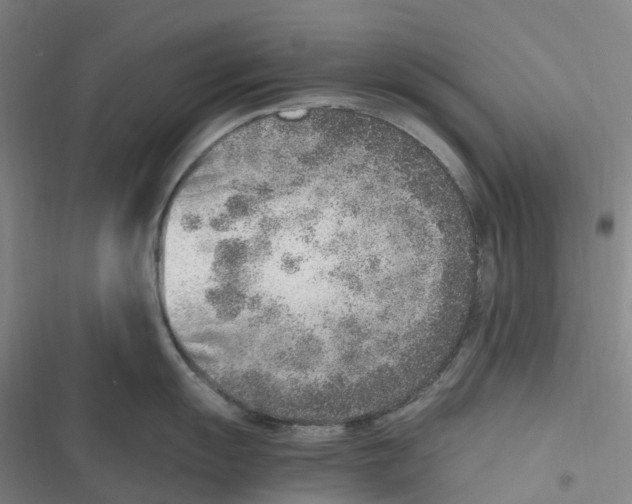 X0000116621055201001081228