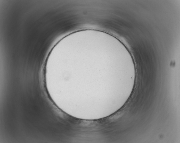 X0000116621056201001081228