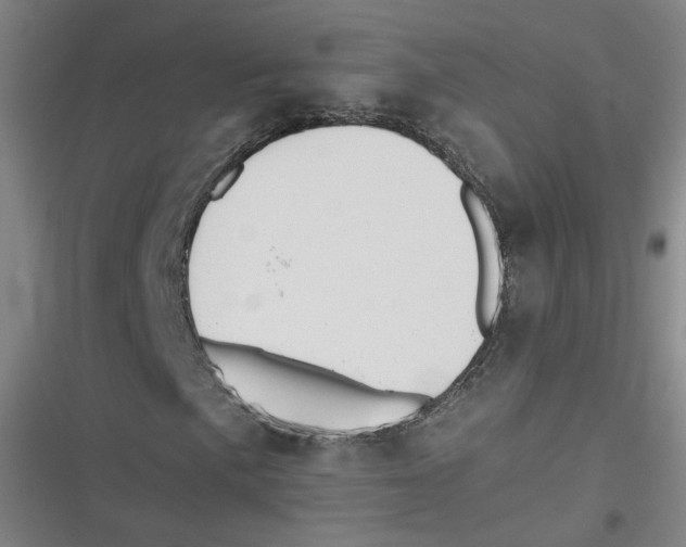 X0000116621057201001081227