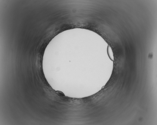 X0000116621058201001081227