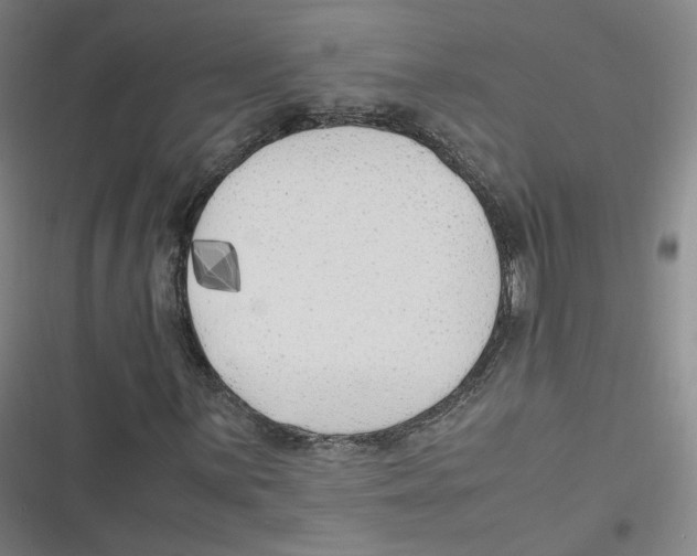 X0000116621059201001081227