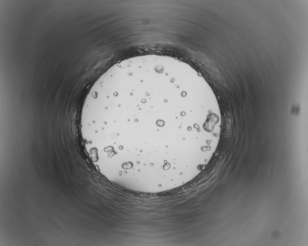 X0000116621060201001081227