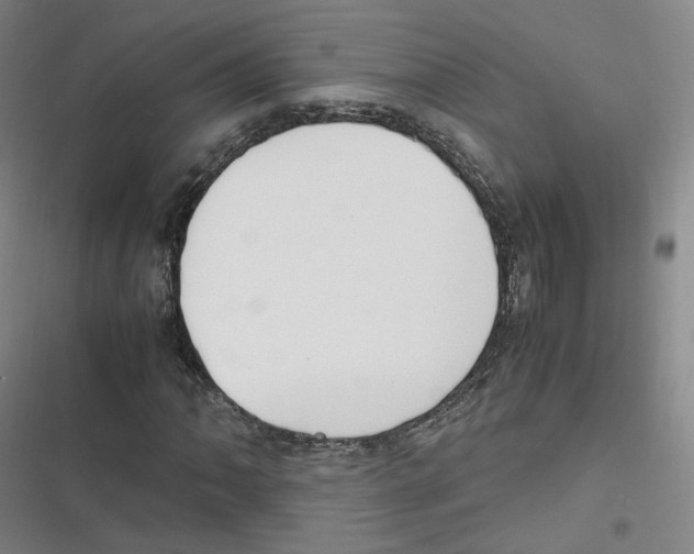 X0000116621062201001081227