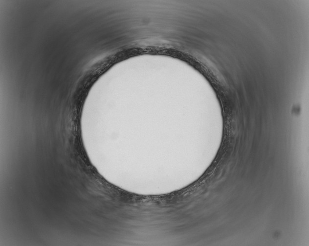 X0000116621063201001081227