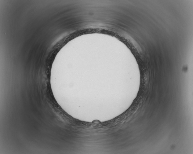 X0000116621064201001081227