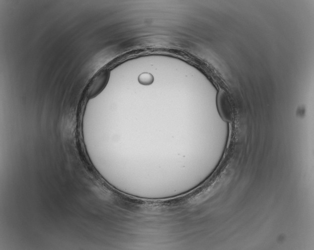 X0000116621065201001081227